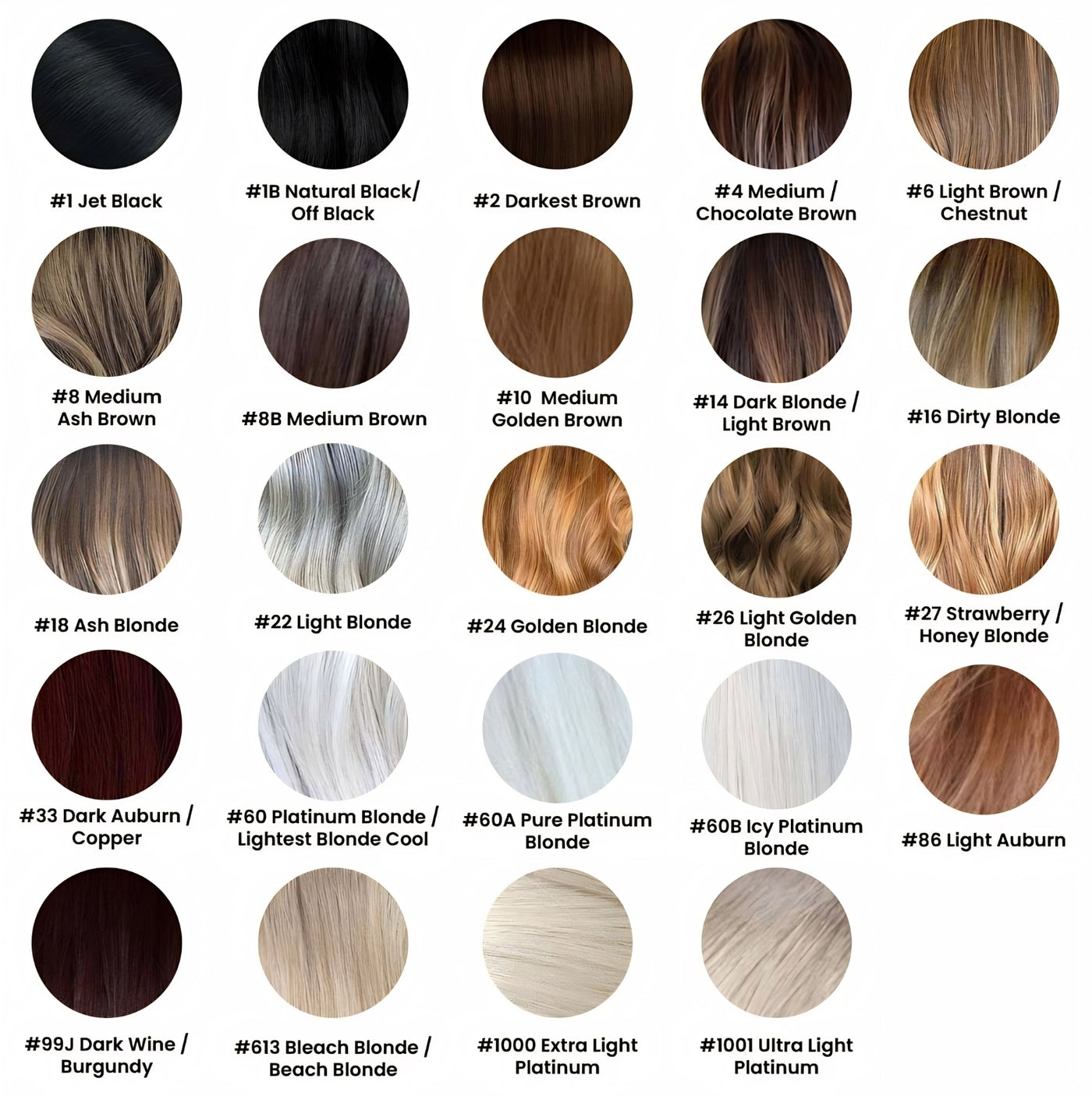 Color Guide